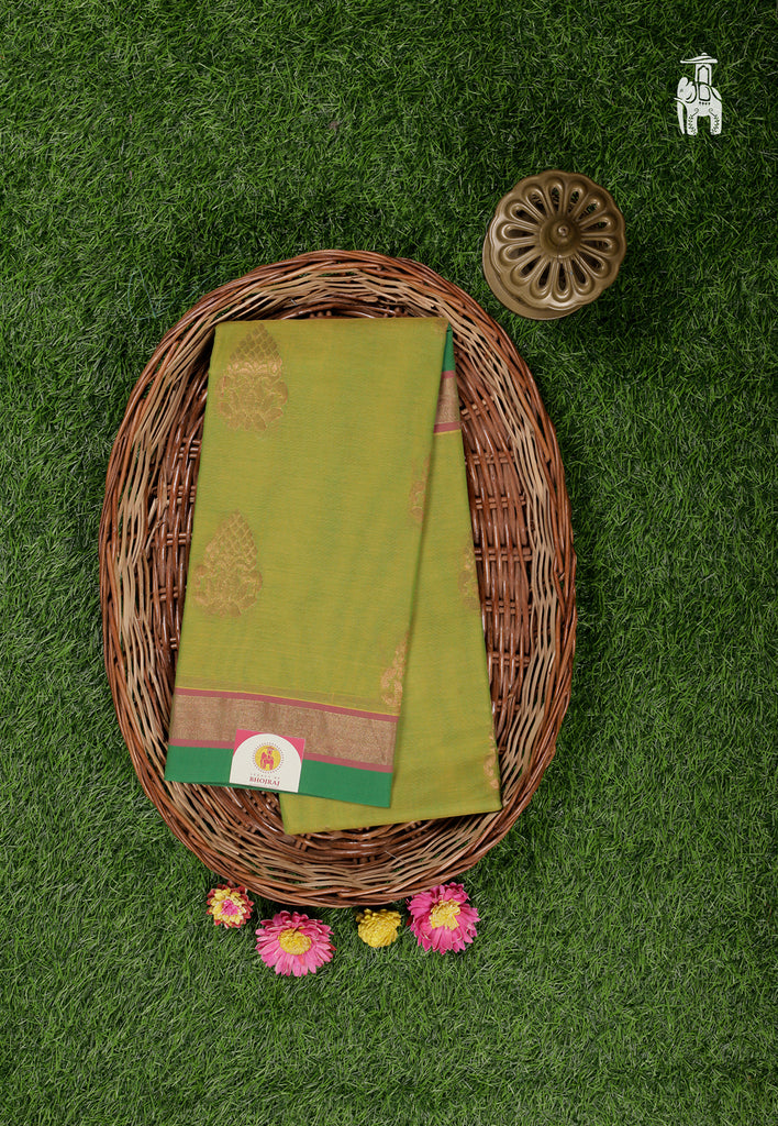 Olive Green Maheshwari Cotton Saree